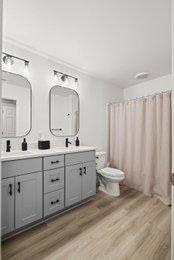 new black window structure