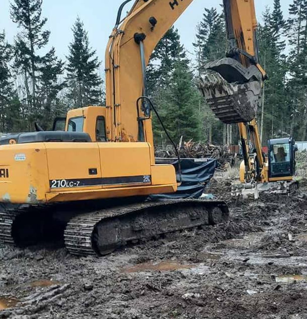 Crane conducting structural engineering